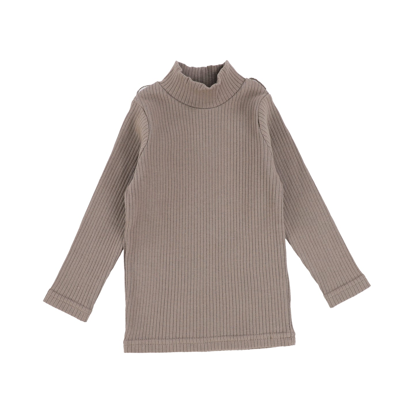 Earthy Mock Neck